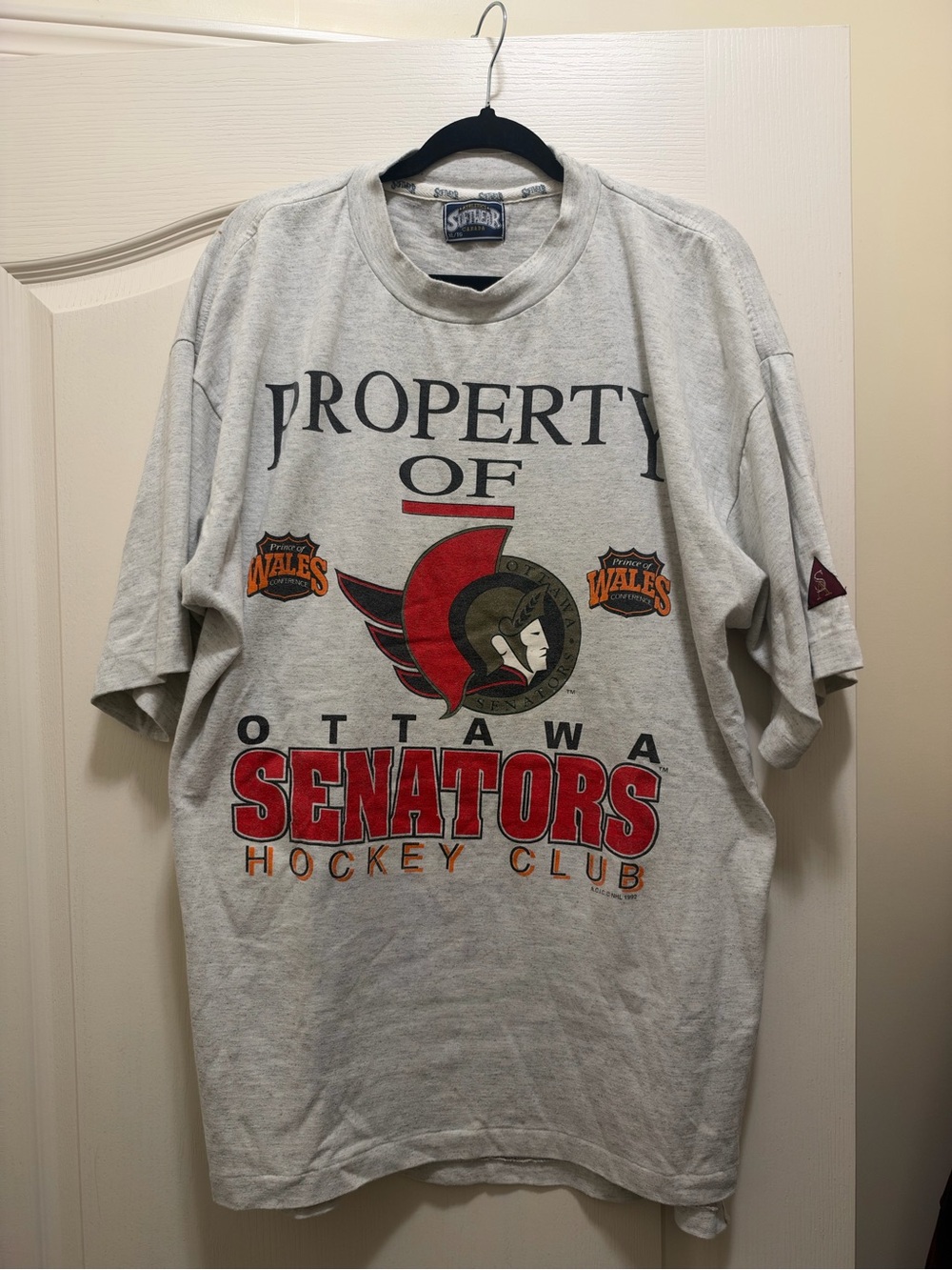 Vintage STARTER Ottawa Senators Gray Short Sleeve Graphic Tee with Red Logo